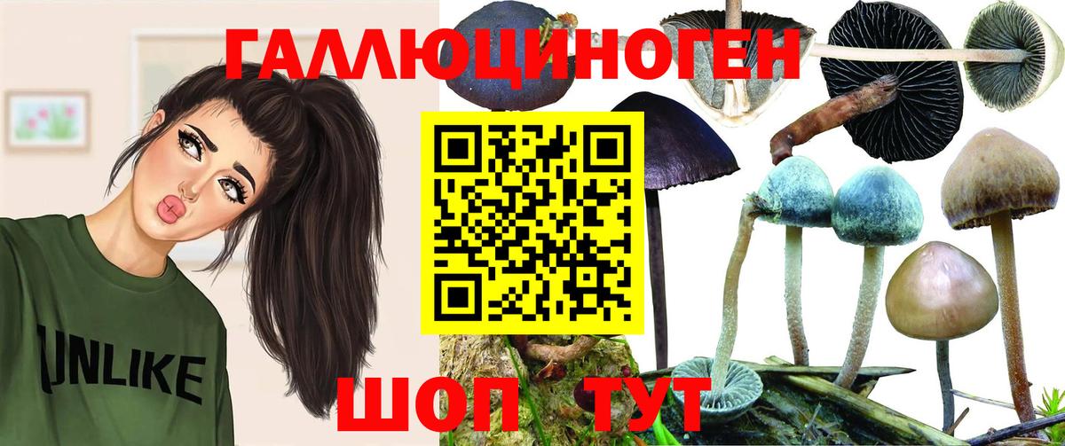 Галлюциногенные грибы мухоморы Урюпинск